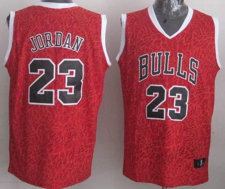 Men's Chicago Bulls #23 Michael Jordan Red Leopard Print Fashion Jersey