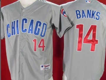 Men's Chicago Cubs #14 Ernie Banks Gray Jerseys
