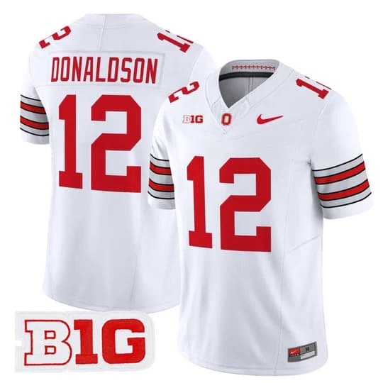 Men's Ohio State Buckeyes 2026 Tunnel Vision Vapor Limited Jersey - All Stitched CJ Donaldson   12