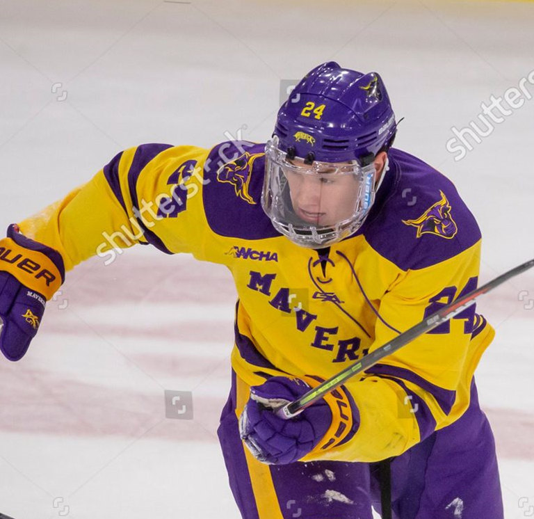 Mens Minnesota State Mavericks #24 Todd Burgess Gemini Gold College Hockey Jersey