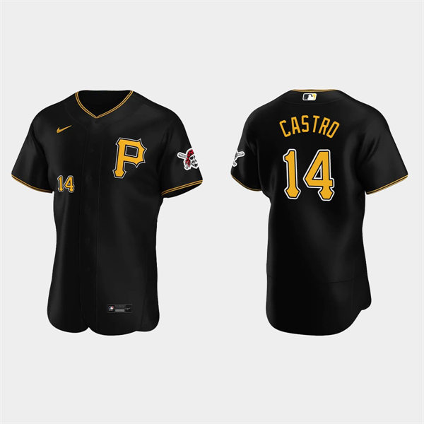 Mens Pittsburgh Pirates #14 Rodolfo Castro Nike Black Alternate Team Logo P FlexBase Player Jersey