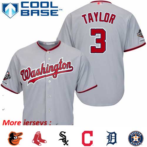 Nationals #3 Michael Taylor Grey Cool Base 2019 World Series Champions Stitched Youth Baseball Jersey
