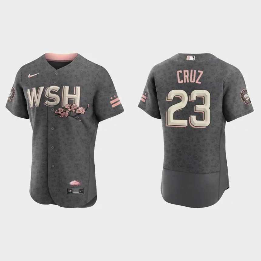 Nelson Cruz Washington Nationals 2022 City Connect Authentic Jersey – Gray