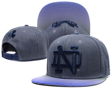 Notre Dame Fighting Irish Team Logo Gray Ajustable Hat GS