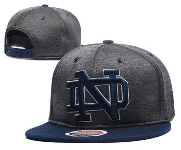 Notre Dame Fighting Irish Team Logo Gray Ajustable Hat GS