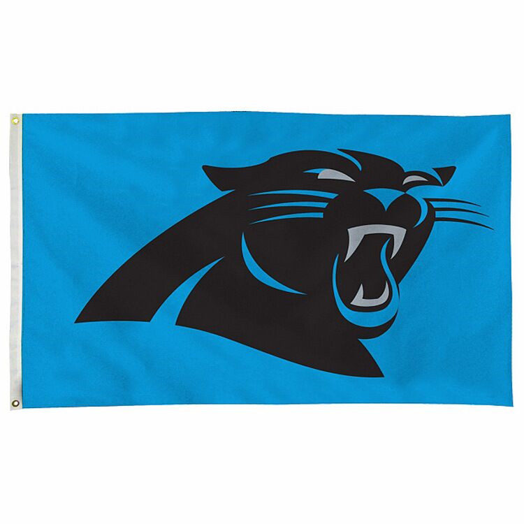 Panthers Flag Size 3X5Ft