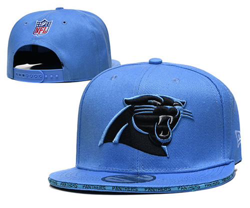 Panthers Snapback Hat--TX