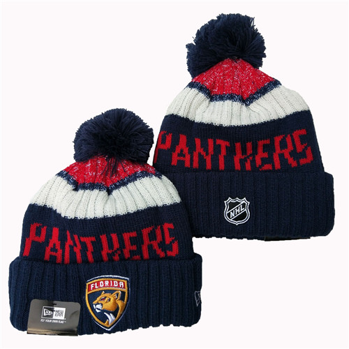 Panthers Team Logo Pom Knit Hat YD