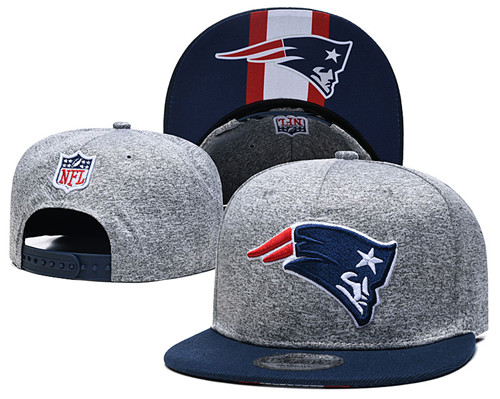 Panthers Team Logos Adjustable Gray Hat GS 1
