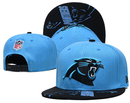 Panthers Team Logos Adjustable Hat GS