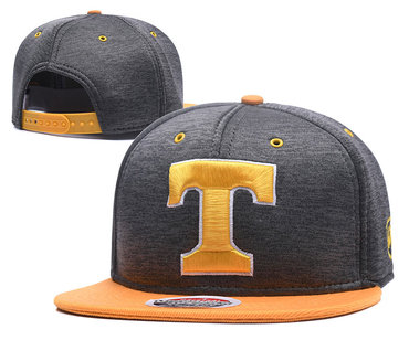 Rangers Fresh Logo Gray Snapback Adjustable Hat GS