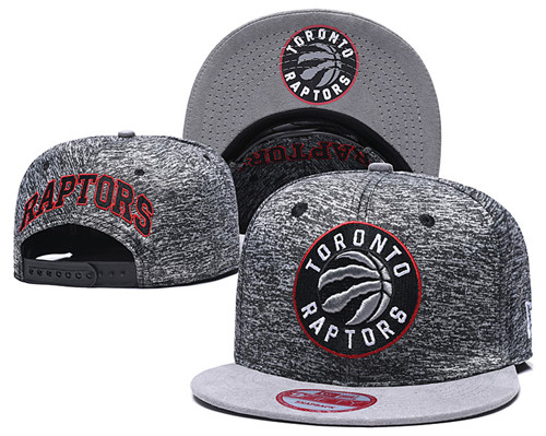 Raptors Team Logo Gray Adjustable Hat TX