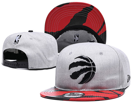 Raptors Team Logo Gray Red Adjustable Hat YD