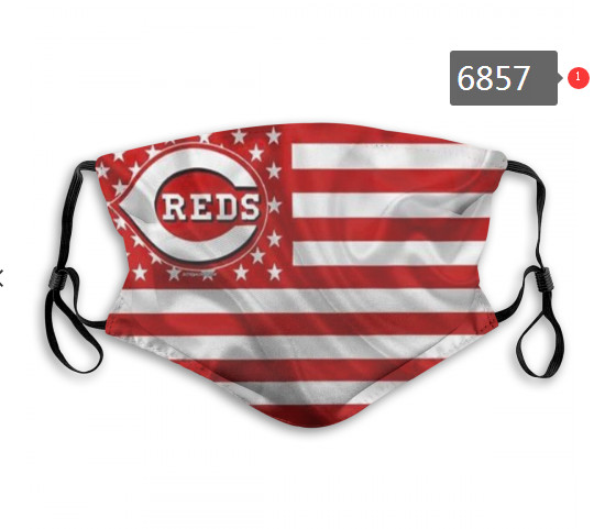 Reds PM2.5 Mask with Filter Double Protection  (2)