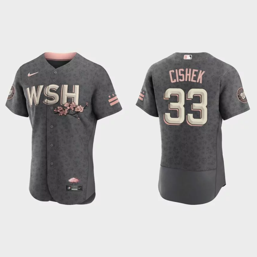 Steve Cishek Washington Nationals 2022 City Connect Authentic Jersey – Gray
