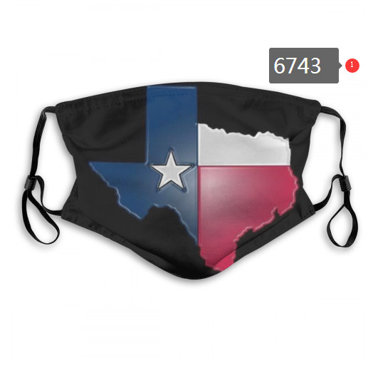 Texans PM2.5 Mask with Filter Double Protection  (4)