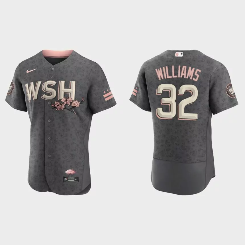 Trevor Williams Washington Nationals City Connect Authentic Jersey – Gray
