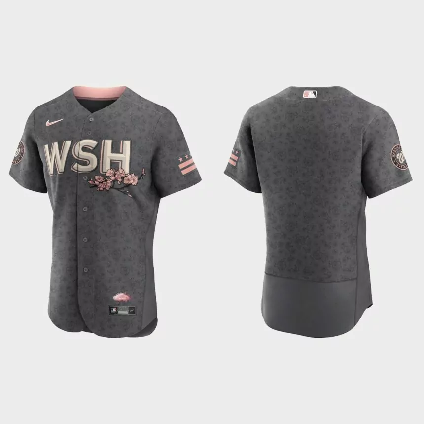 Washington Nationals 2022 City Connect Authentic Jersey – Gray