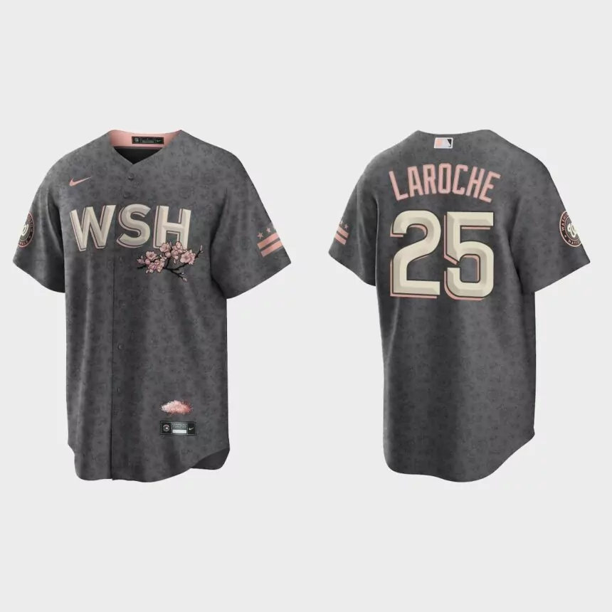 Washington Nationals Adam LaRoche 2022 City Connect Replica Jersey – Gray