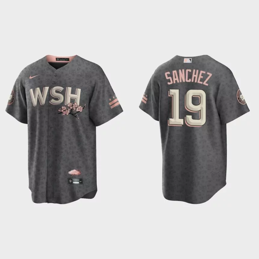 Washington Nationals Anibal Sanchez 2022 City Connect Replica Jersey – Gray