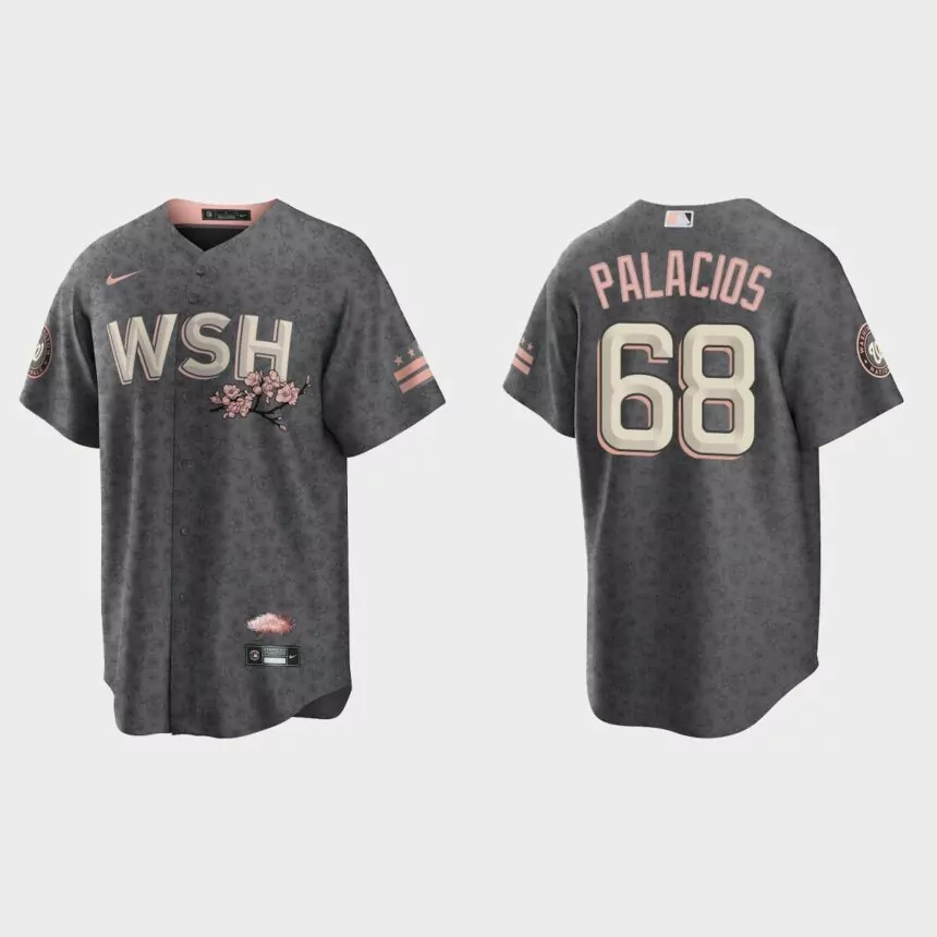 Washington Nationals Josh Palacios 2022 City Connect Replica Jersey – Gray