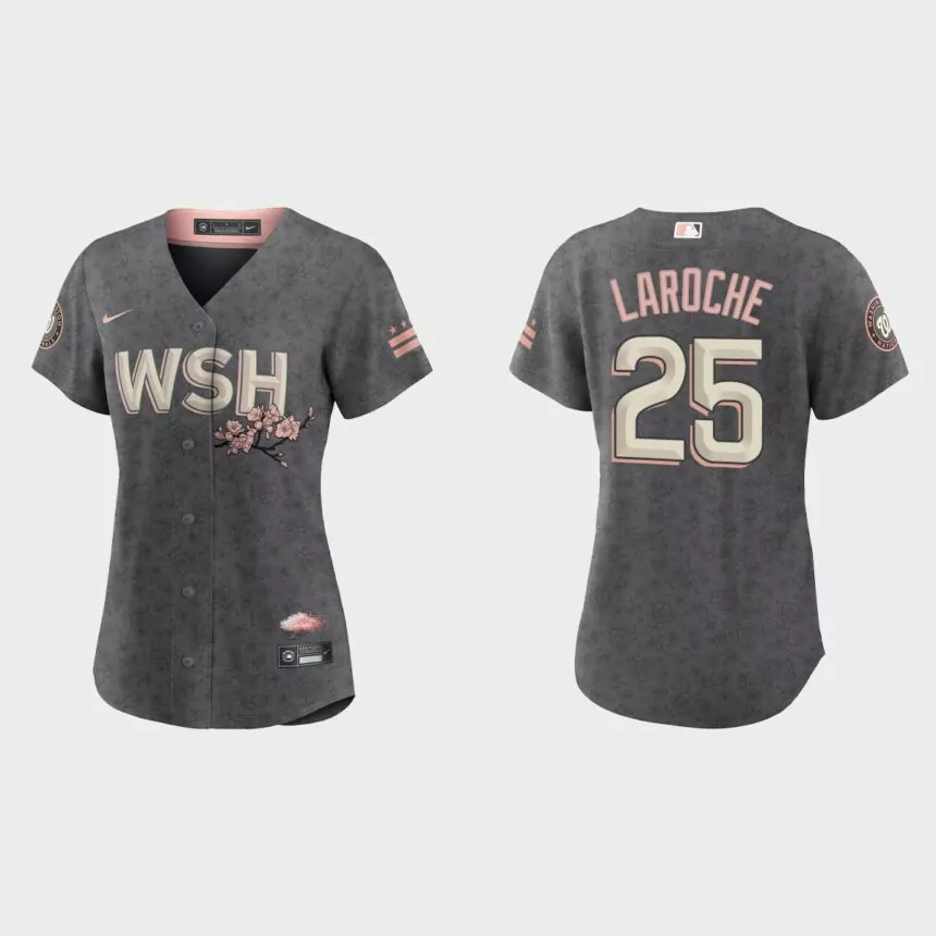 Women Washington Nationals Adam LaRoche Gray 2022 City Connect Replica Jersey