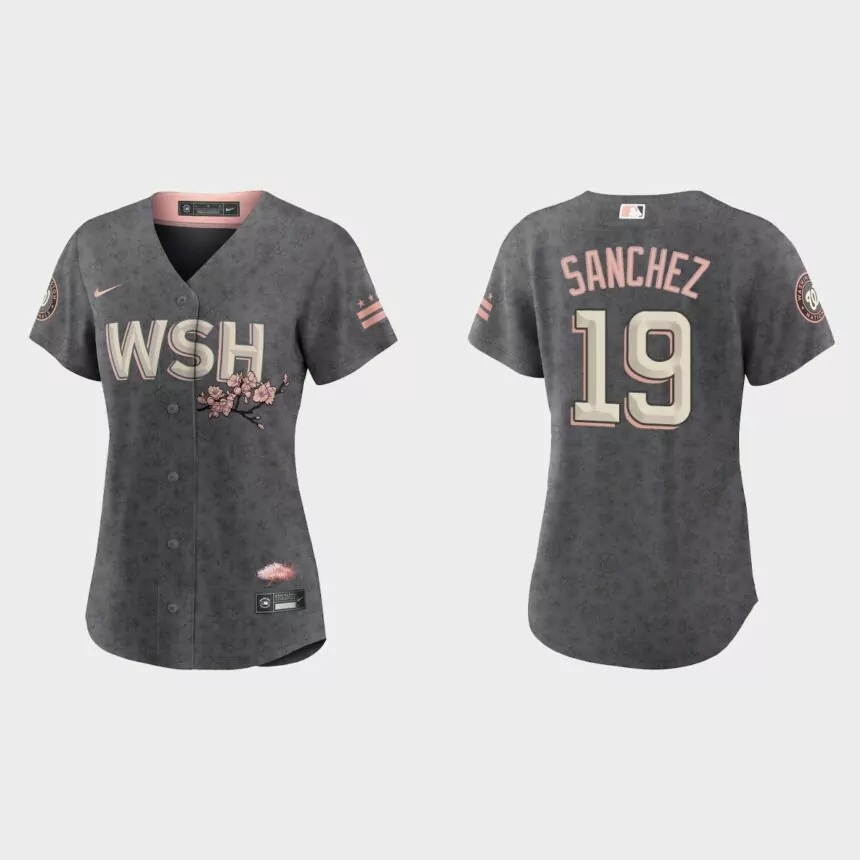 Women Washington Nationals Anibal Sanchez Gray 2022 City Connect Replica Jersey