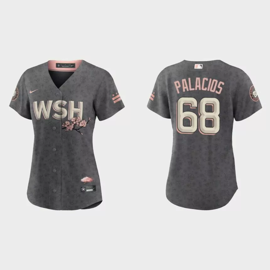 Women Washington Nationals Josh Palacios Gray 2022 City Connect Replica Jersey
