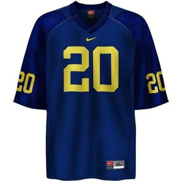 Youth Michigan Wolverines #20 Mike Hart Blue Football Jersey
