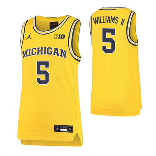 Youth Terrance Williams II Jersey Maize Michigan Wolverines Replica