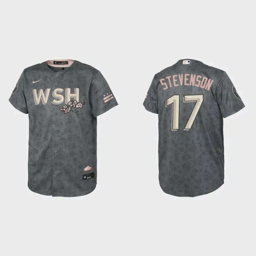Youth Washington Nationals Andrew Stevenson Gray 2022 City Connect Replica Jersey