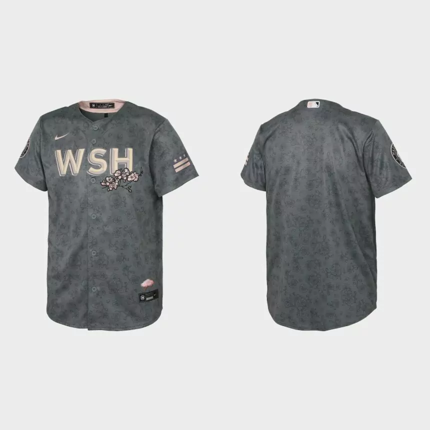 Youth Washington Nationals Gray 2022 City Connect Replica Jersey