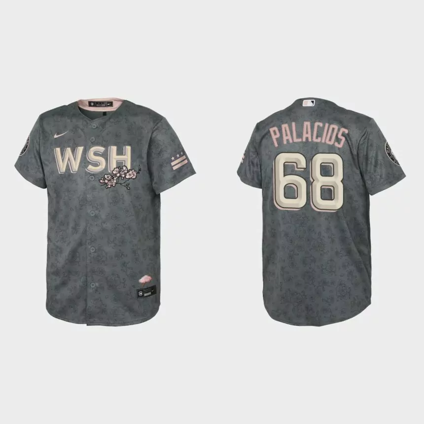 Youth Washington Nationals Josh Palacios Gray 2022 City Connect Replica Jersey