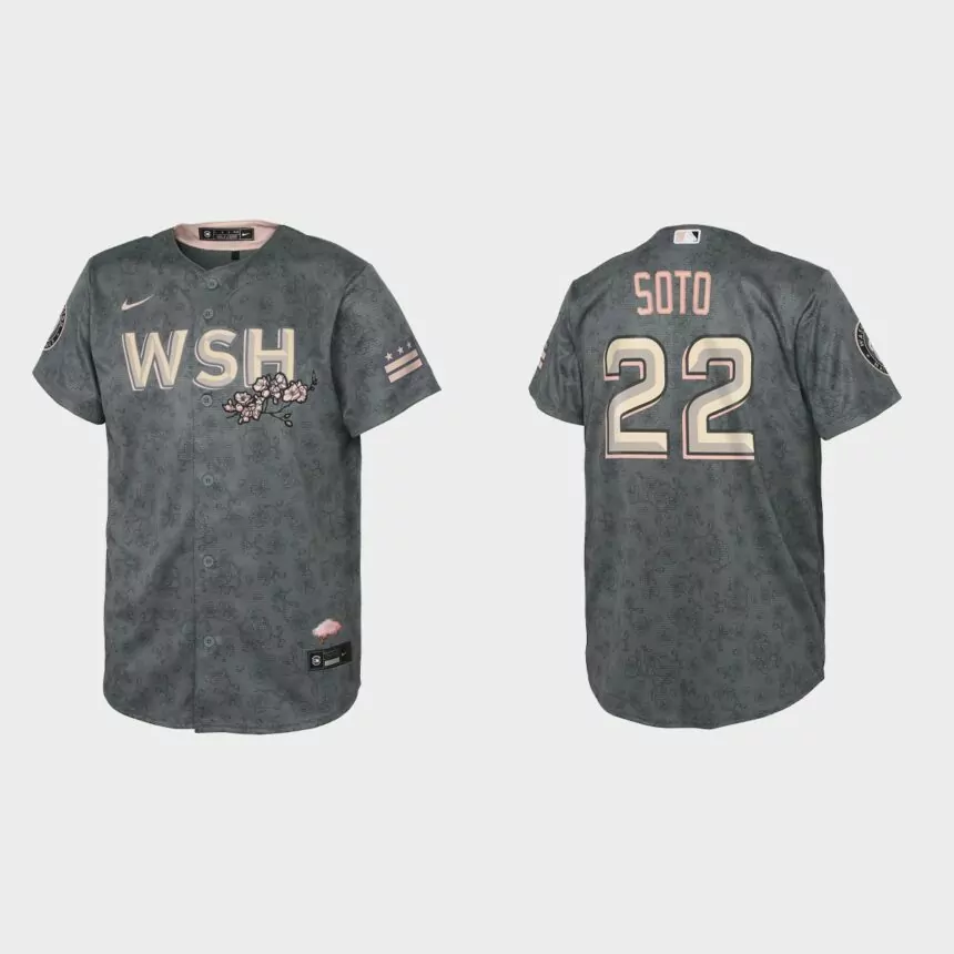 Youth Washington Nationals Juan Soto Gray 2022 City Connect Replica Jersey