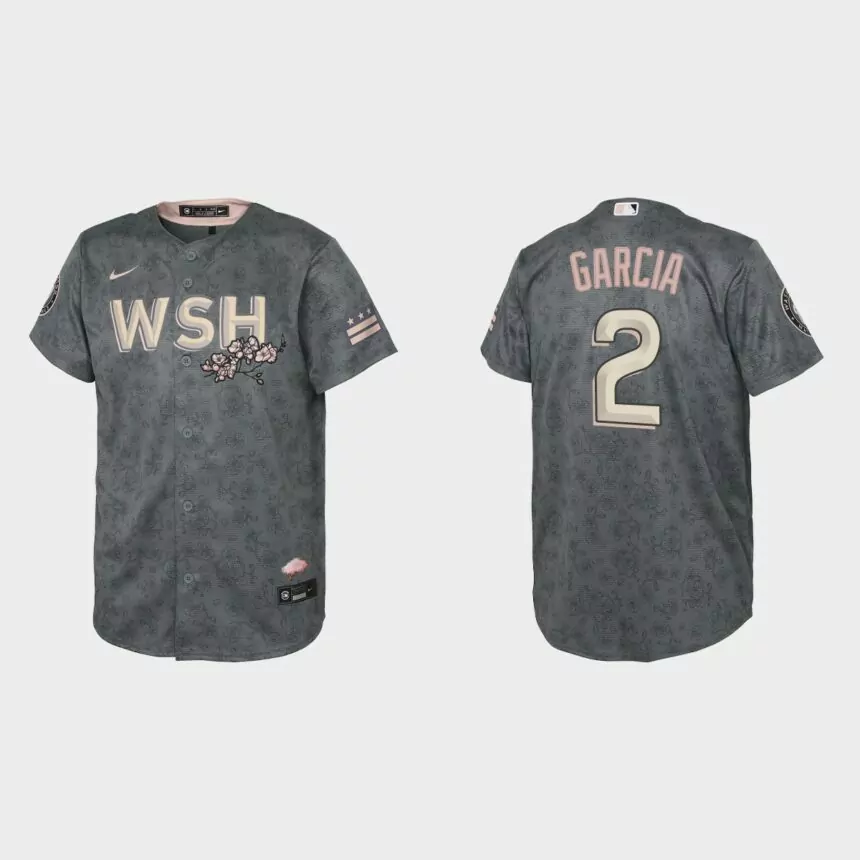 Youth Washington Nationals Luis Garcia Gray 2022 City Connect Replica Jersey