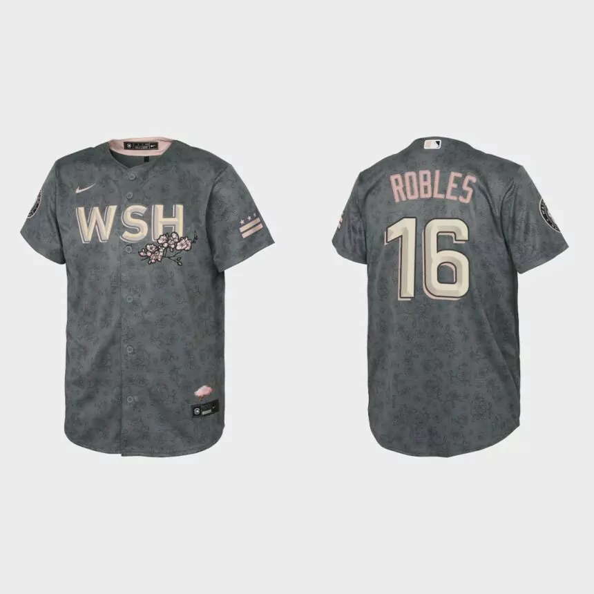 Youth Washington Nationals Victor Robles Gray 2022 City Connect Replica Jersey