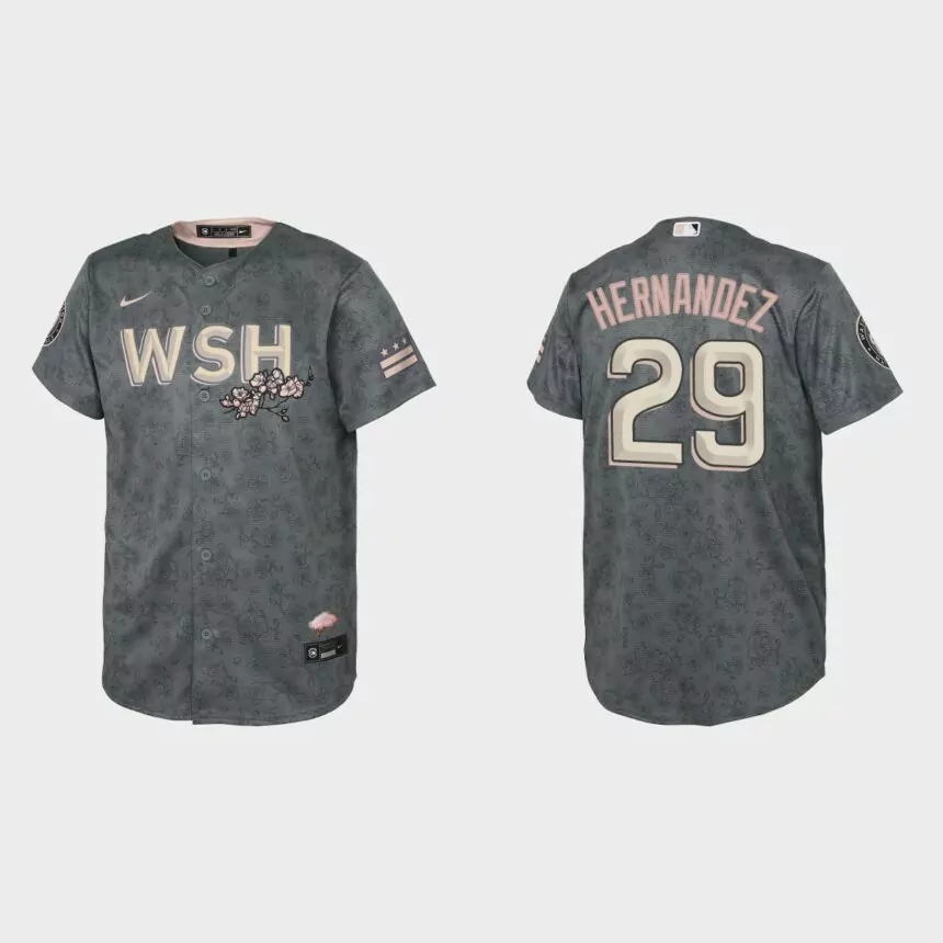 Youth Washington Nationals Yadiel Hernandez Gray 2022 City Connect Replica Jersey